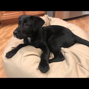 Meet your Posher, Avery